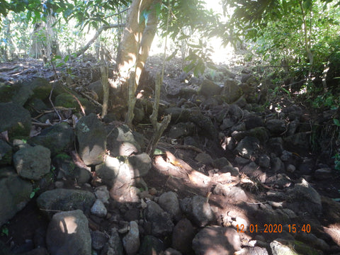 Rancho Aloha Thanksgiving flood damage (pic 4 of 5)