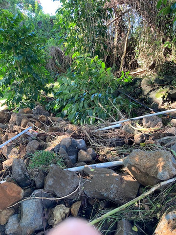 Rancho Aloha Thanksgiving flood damage (pic 3 of 5)