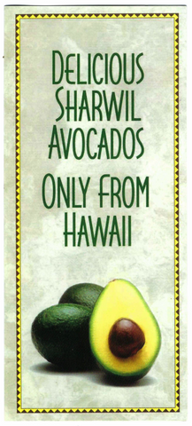 Hawaii Sharwil avocados