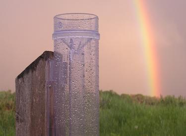 Heavy rain at Rancho Aloha