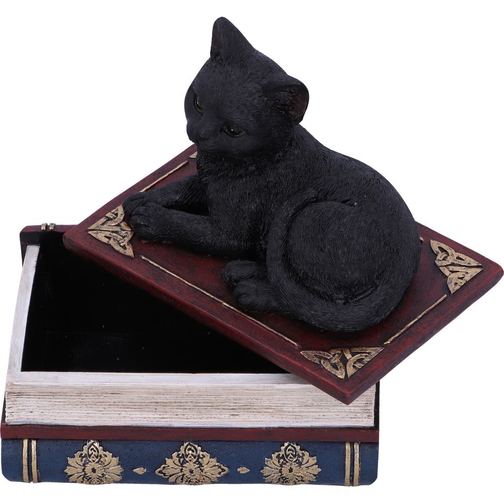 Statue de chat noir avec chapeau de sorcière, Figurines croissant de lune,  chat à balai mignon, ornements'hal