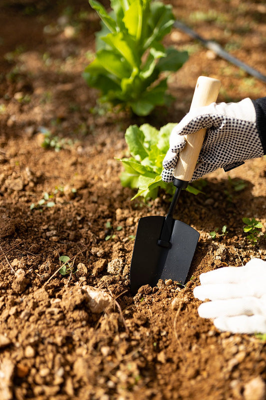 Pala De Acero Y Madera Para Plantación - Cristina Oria