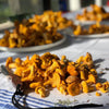 Fresh Chanterelle