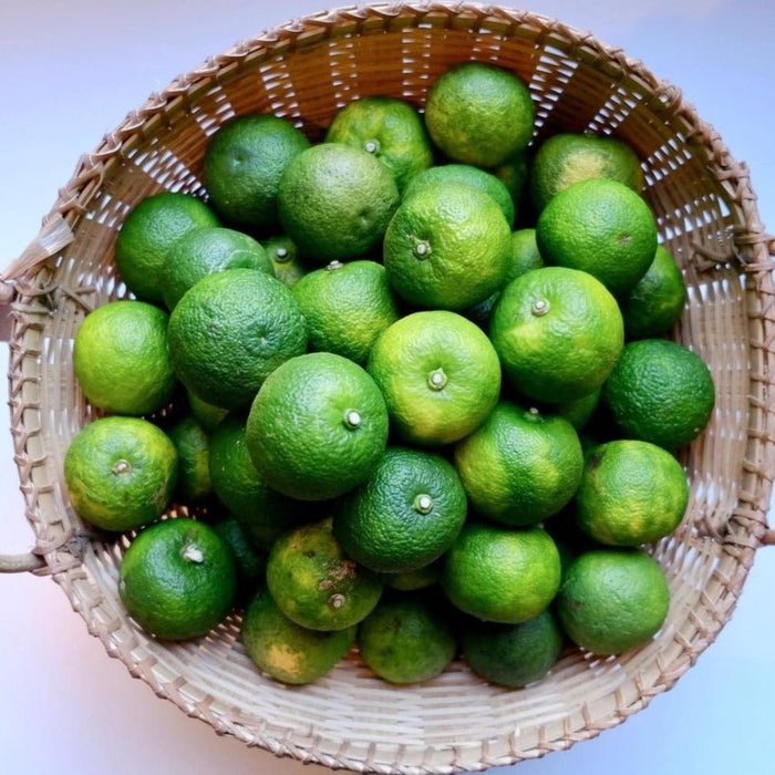 fresh green Yuzu