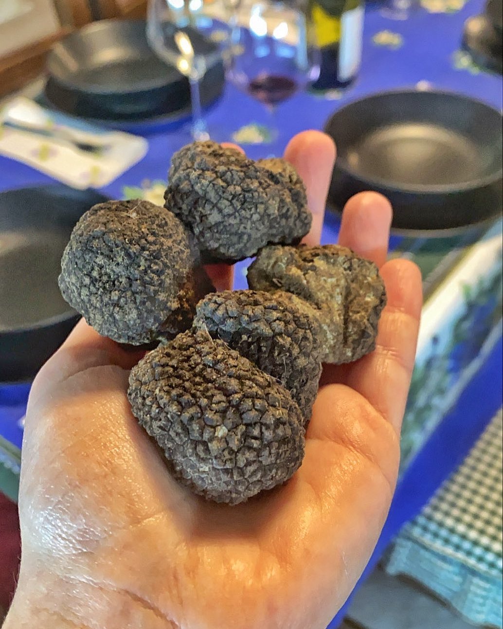 wild truffles