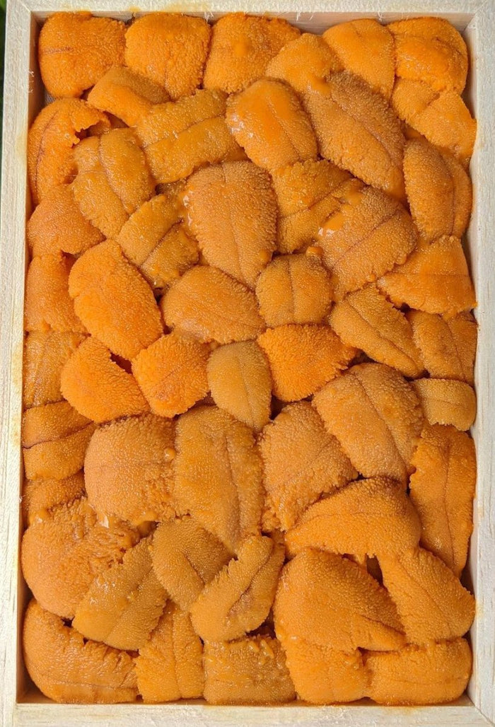 Daily Seafood  Sea Urchin Roe (Uni) - Bafun Bara Fresh Japanese