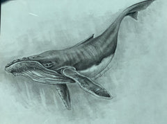 Anna Cherepowich Whale
