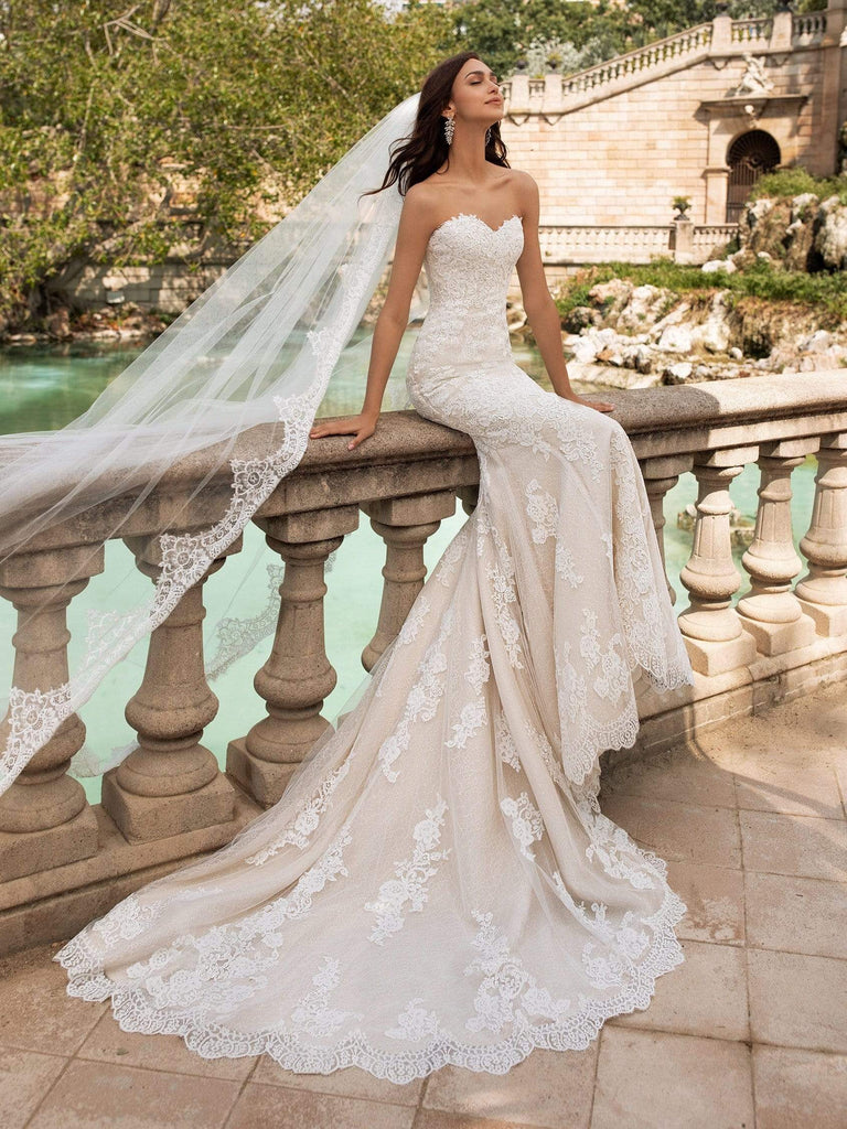 AVONIA / Pronovias Wedding Dress - La Boda Bridal I Contemporary Bridal  Boutique