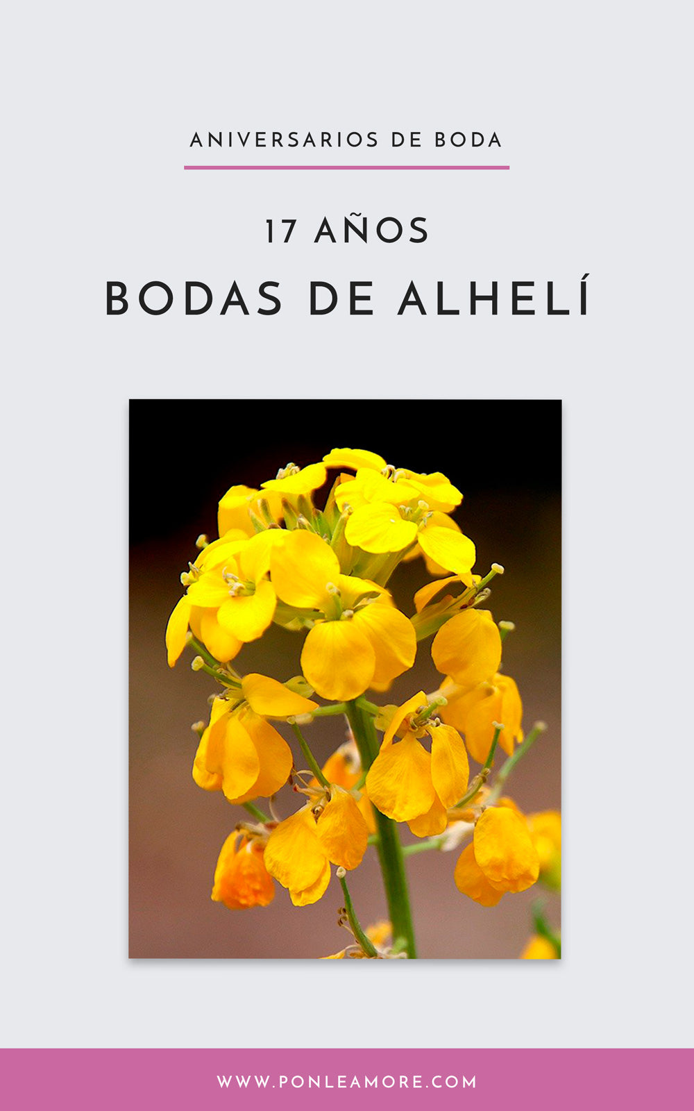 Bodas de Alhelí