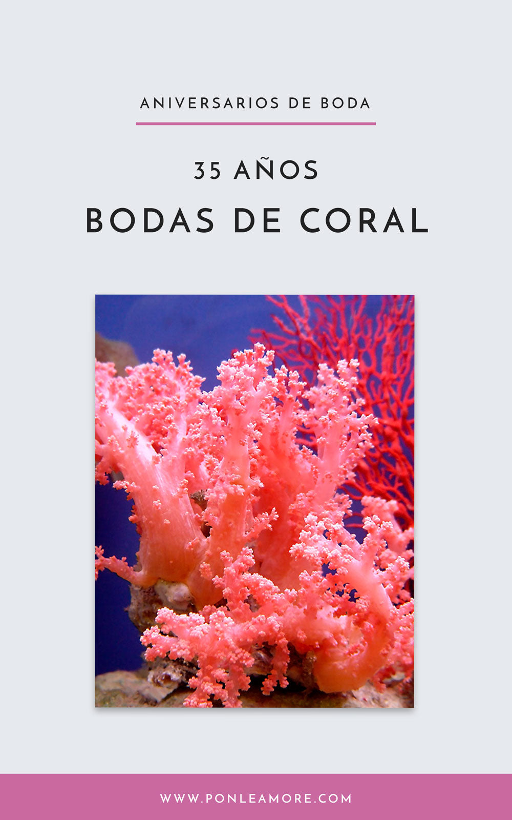 bodas de coral