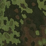 How the Flecktarn came into the Federal Armed Forces