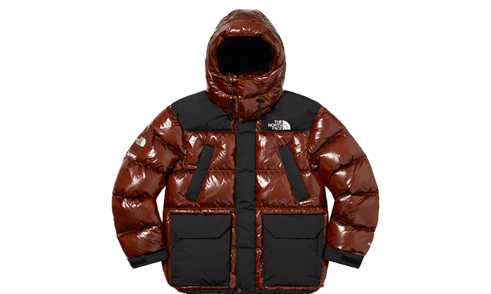 north face parka 700