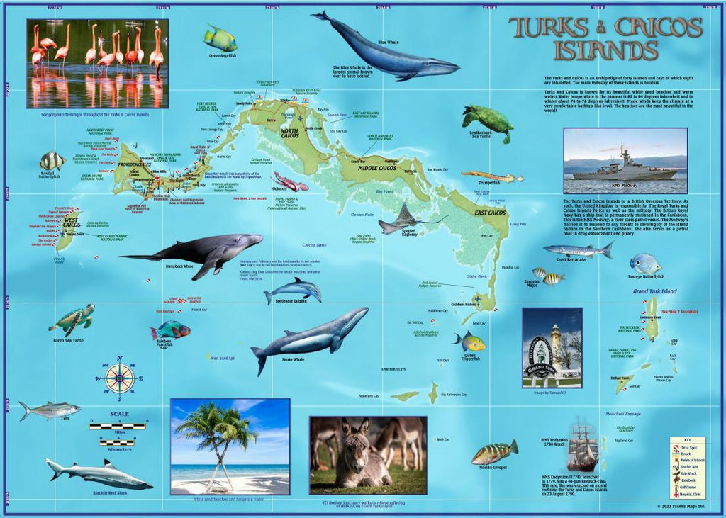 Franko Maps, Cayman Islands Mini Fish ID-Card 34103 - Scuba