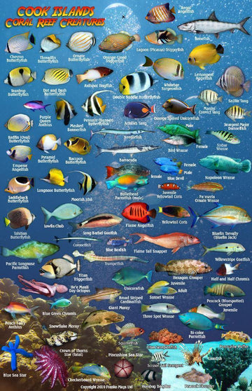 Cook Islands Fish Card – Franko Maps