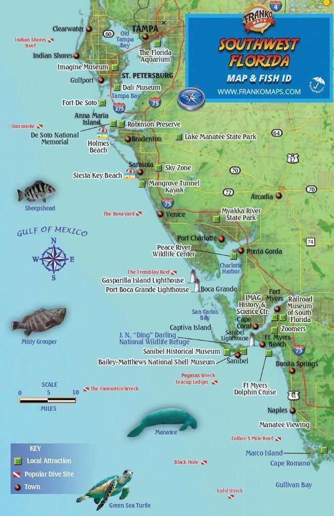 Florida Mini Fish Card
