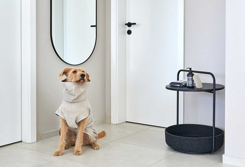 Une sélection spéciale d'articles dédiés à la toilette de votre chat et chien - kasibe