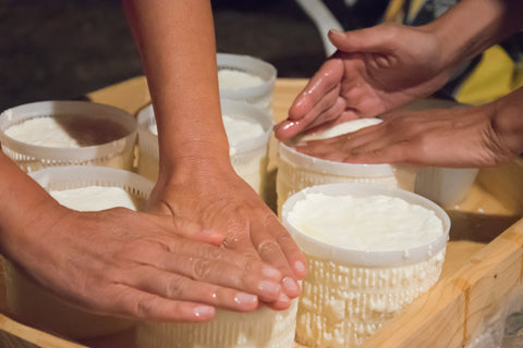 Two pairs of hands working with cheese materials. 