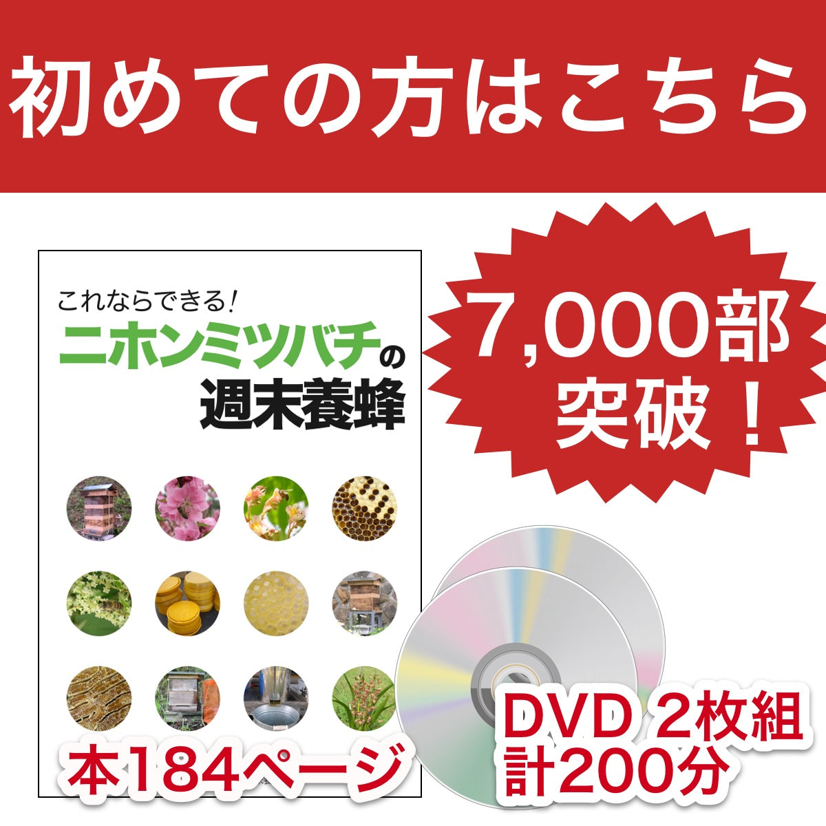 これならできる！ニホンミツバチの週末養蜂【DVD付】