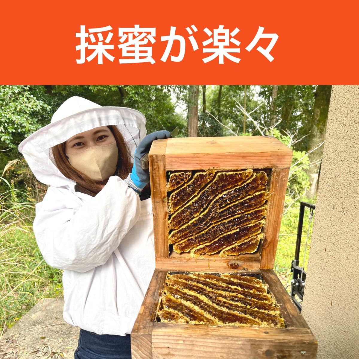 ニホンミツバチ 重箱式5段巣箱+引出し付き台 - 虫かご・飼育ケース