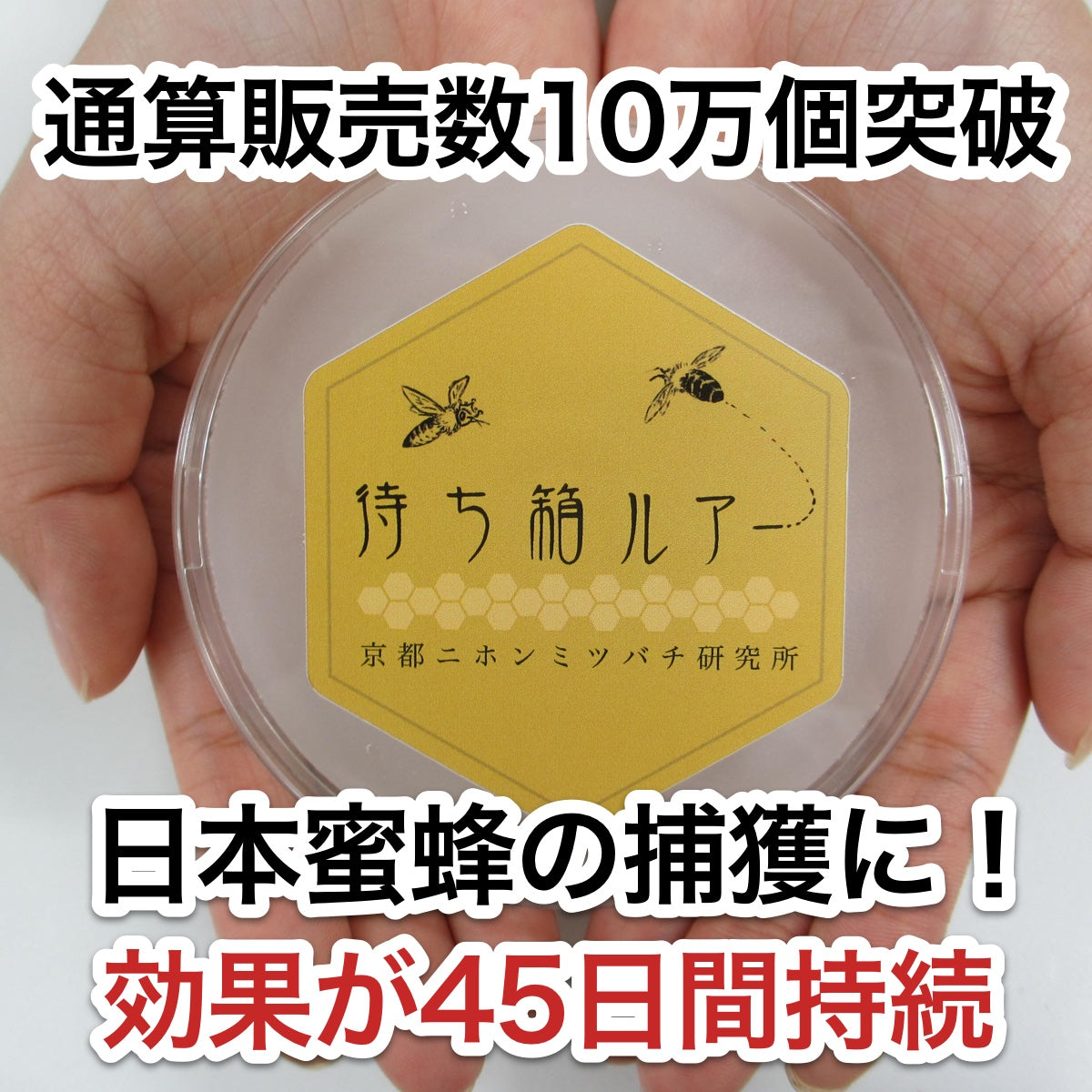 ミツバチ誘引剤 5つセット 誘引ルアー ニホンミツバチの誘引に 改良版