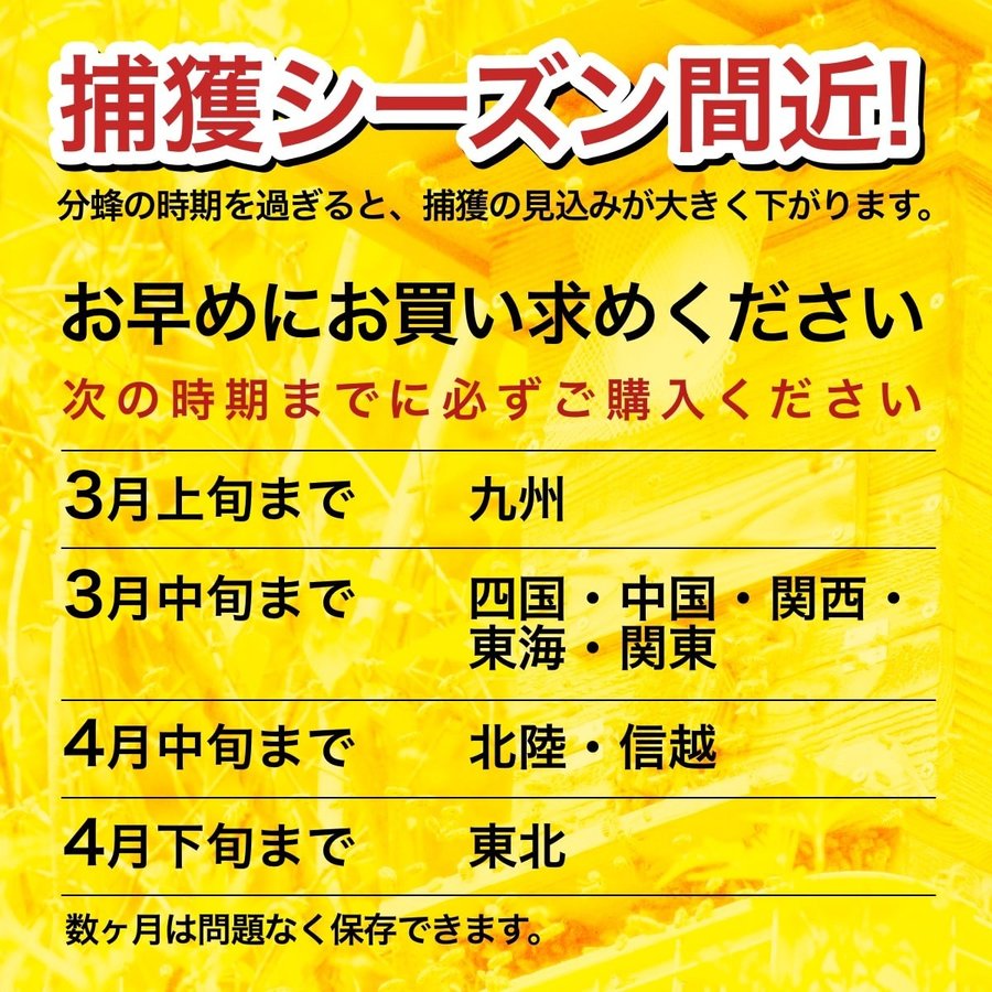 ニホンミツバチ誘引セット！待ち箱ルアー3つと蜜蝋80gのセット