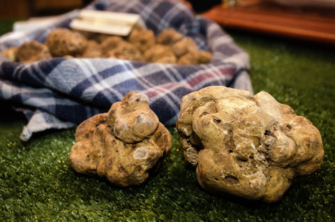 White Truffle