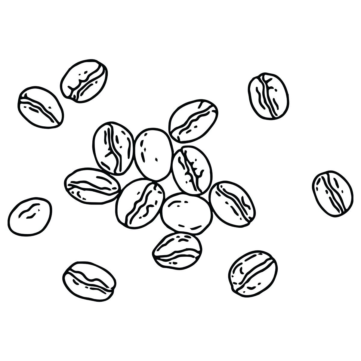 Illustration of coffee beans