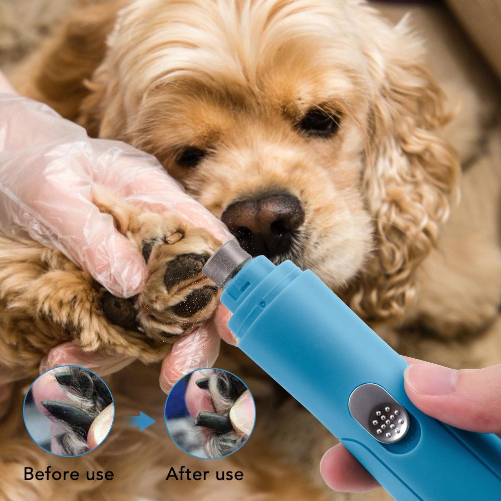 goldendoodle trimmers