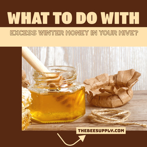 What to do with excess winter honey in your hive