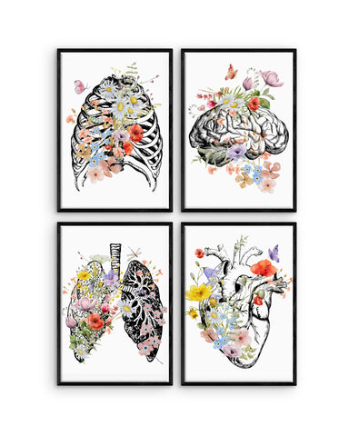 anatomy art prints heart brain lungs rib cage floral