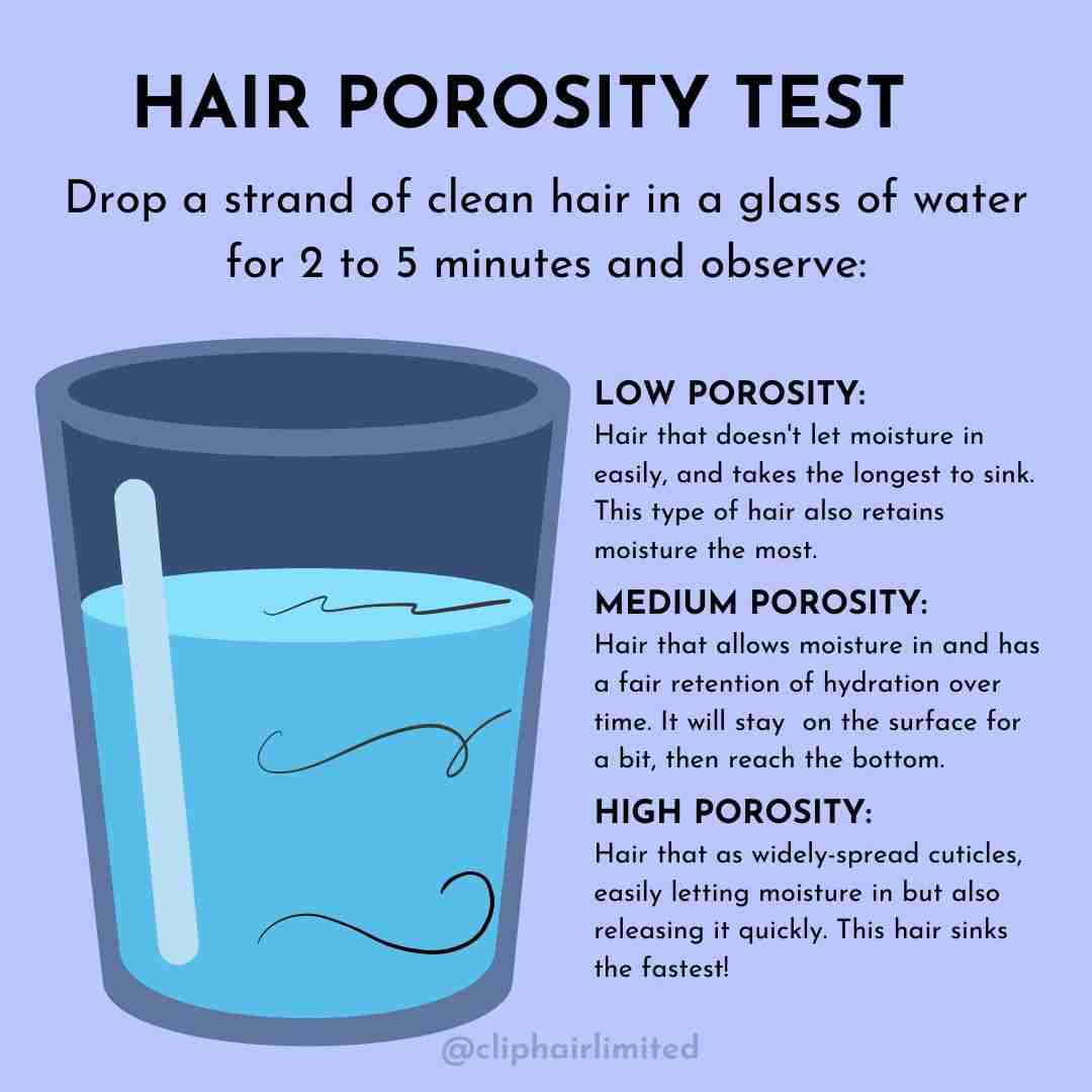 Hair Texture Porosity Density  Hair Biology