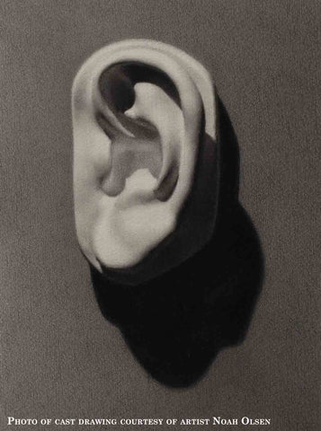 Photo of Cast Painting of Plaster Cast of left ear of Michelangelo's David on a gray background