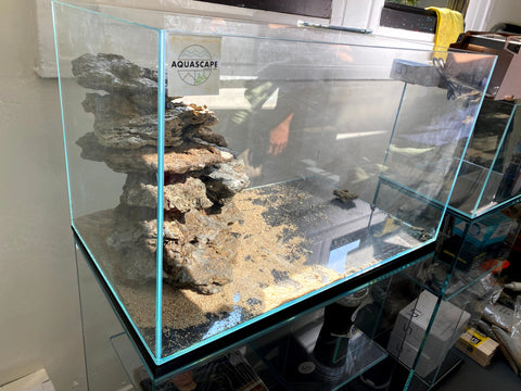 Biotope aquascape build at Hakkai Aquascape Gallery in Liberty Station, San Diego, CA