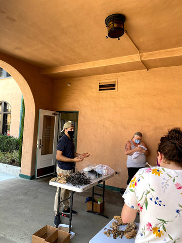 Classic Nature Aquascape Workshop - Hakkai Aquascape Design Gallery - San Diego