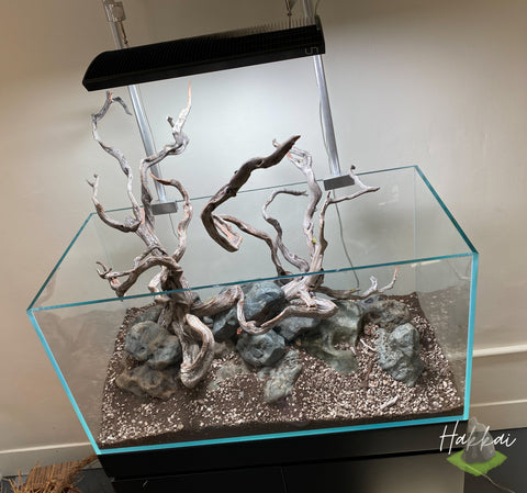 Hakkai Stone & Tom Barr Manzanita Driftwood hardscape layout at Hakkai Aquascape Gallery - San Diego, CA