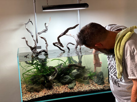 44 gallon aquascape build at Hakkai Aquascape Gallery, Arts District Liberty Station, San Diego, CA