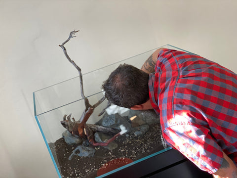 Hardscape design at Hakkai Aquascape Gallery - San Diego, CA