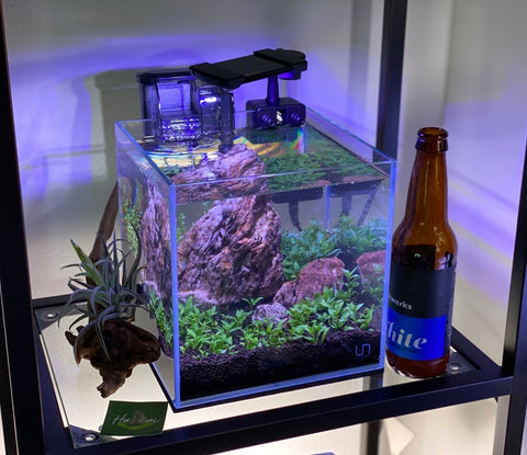 Nano Aquascape Tanks at Hakkai Aquascape Design Gallery - Liberty Station, San Diego, CA