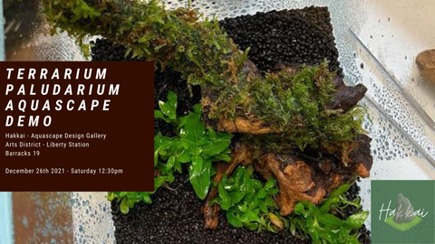 Free Paludarium/Terrarium Aquascape Demo at Hakkai SD