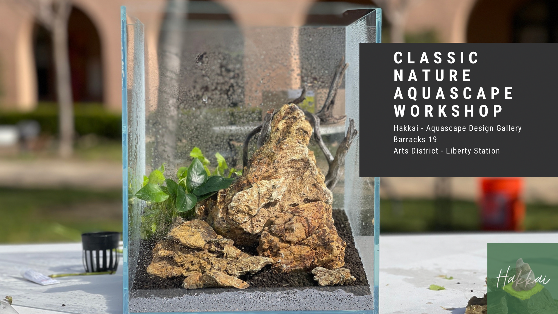 Classic Nature Aquarium Workshop