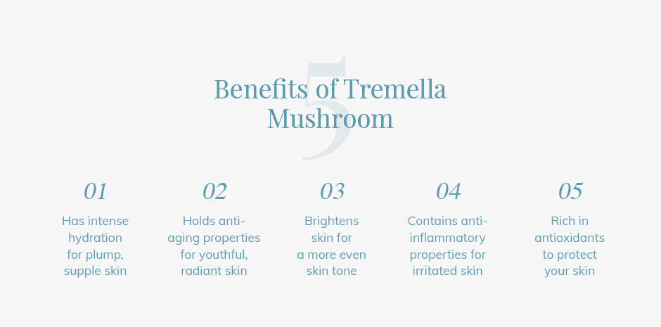 5 Benefits of Tremella Mushroom Infographic