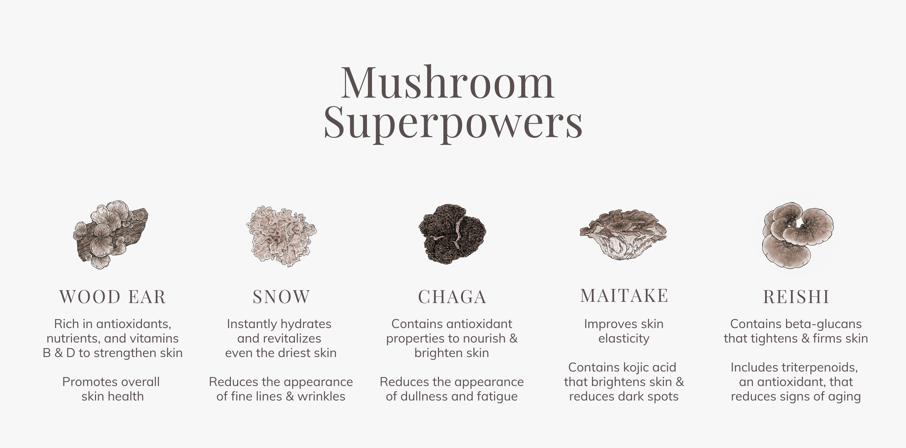 5 Mushroom Superpowers