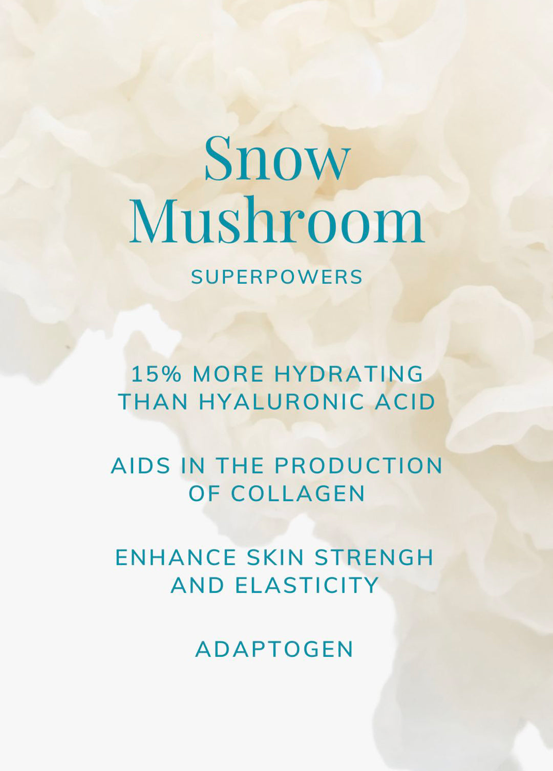 Snow Mushroom is 15% more hydrating than hyaluronic acid, boosts collagen production, skin strengthening and elasticity, adaptogen