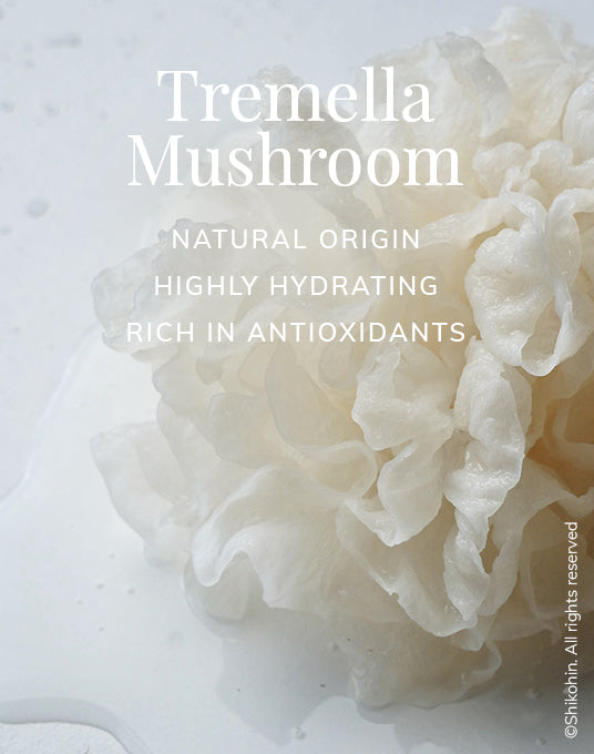 Graphic highlighting the benefits of snow mushroom: 'Naturally Origin', 'Highly Hydrating', and 'Rich in Antioxidants'