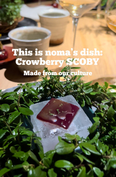 Oplev det kulinariske kunstnerskab hos noma, med en bemærkelsesværdig kombucha SCOBY-ret. Udforsk en verden af ​​fermentering og gastronomisk innovation.