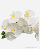 37" Real Touch Phalaenopsis Spray ( FO7195-CR )
