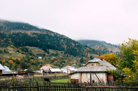 Ukraine farm and forest hillside