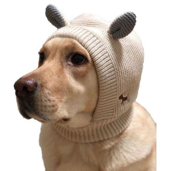 Humour : après les bonnets pour chats voici les bonnets pour vos  chiens - Le challenge du tricot solidaire