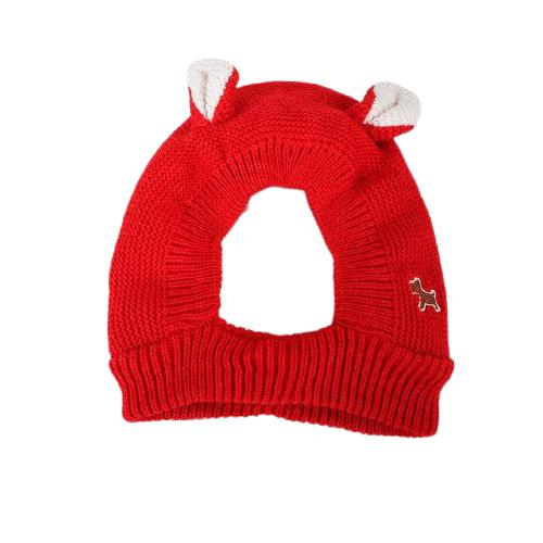 Bonnet chat : Les plus beaux chapeaux pour l'hiver - Chatcripant