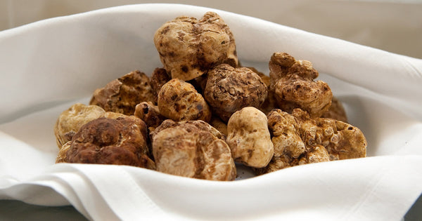 san miniato truffle inserrata